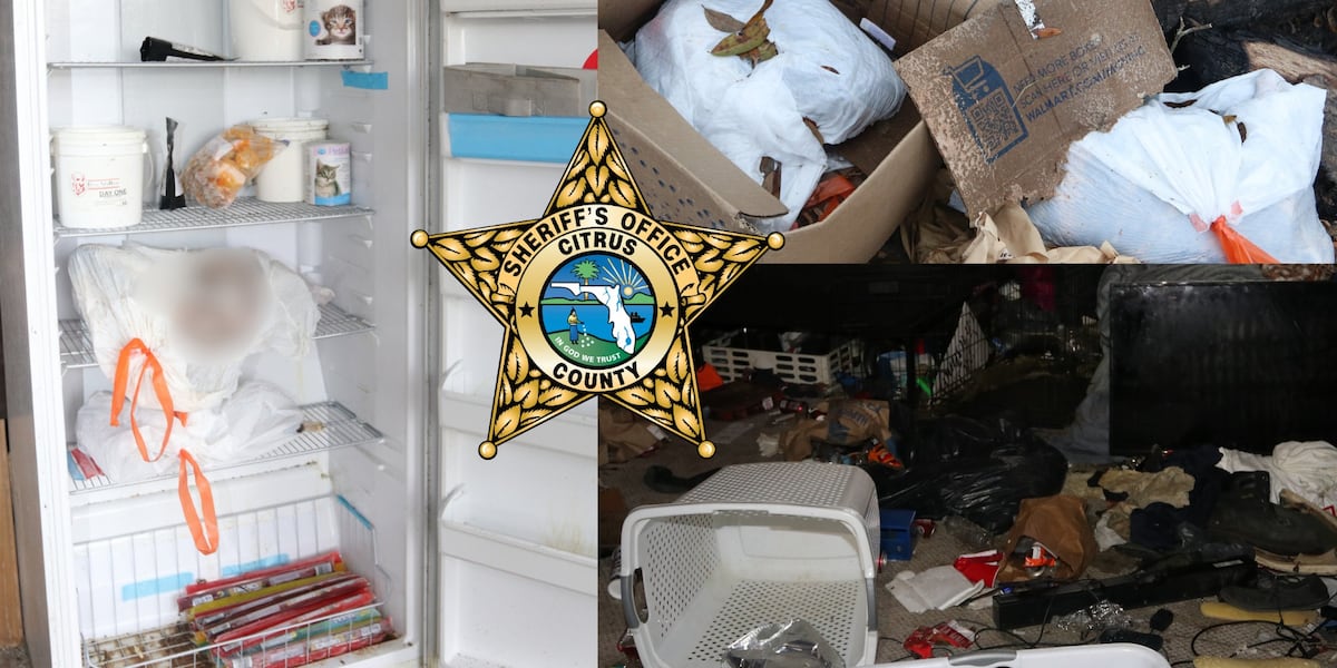 A Florida 'Rescue' Became a House of Death, With Cats in Trash Bags and Animals Living in Overflowing Litter Boxes